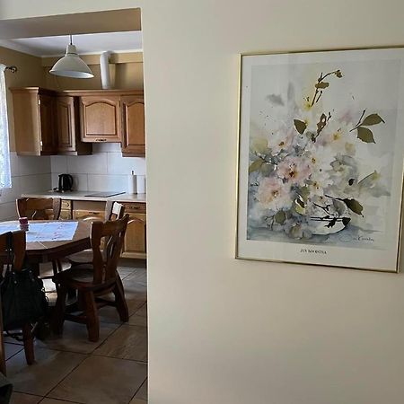 Apartamenty Jaskinia Solna Руда-Шльонська Екстер'єр фото