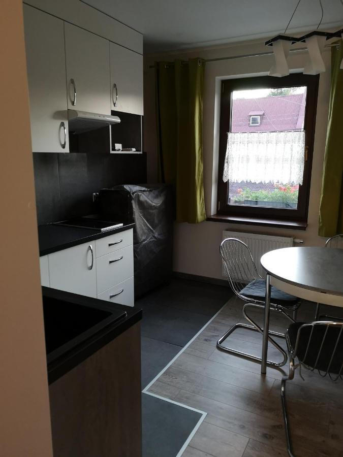 Apartamenty Jaskinia Solna Руда-Шльонська Екстер'єр фото