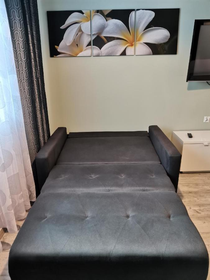 Apartamenty Jaskinia Solna Руда-Шльонська Екстер'єр фото